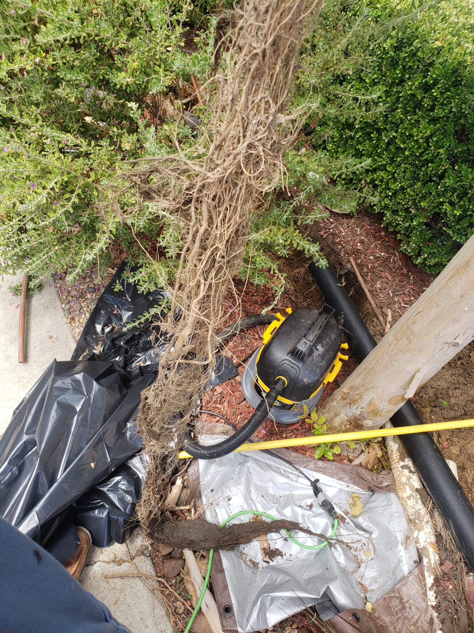 Team Rooter Plumbing - San Diego Image