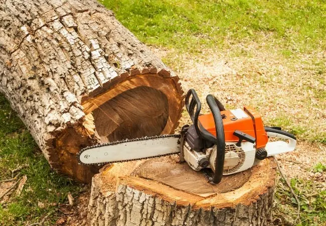 Conquer Tree Service Image