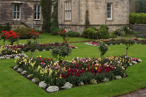 Janice's Maintenance Care Landscaping Logo