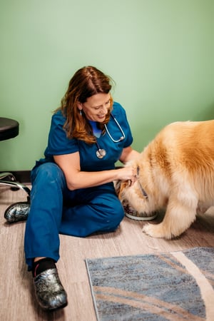 Images PetVet365 Pet Hospital Fishers Crossing
