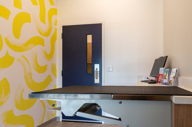 Images Windrose Animal Hospital Valencia