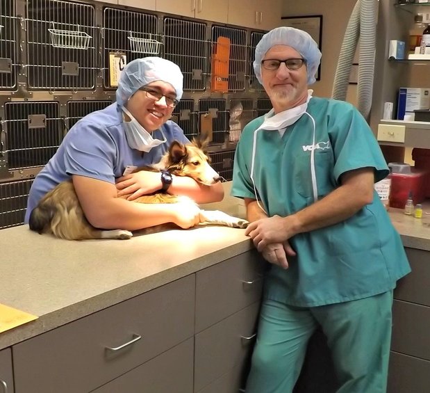 Images VCA Elliot Park Animal Hospital