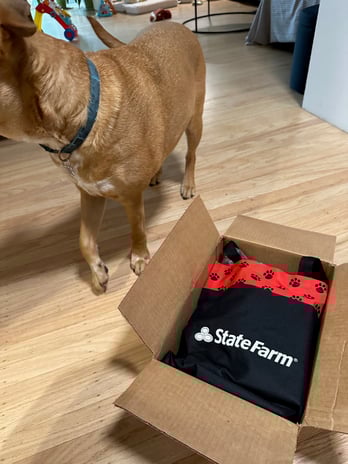 Images Courtney Khashabi - State Farm Insurance Agent