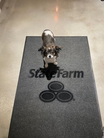 Images Brad Bollier - State Farm Insurance Agent