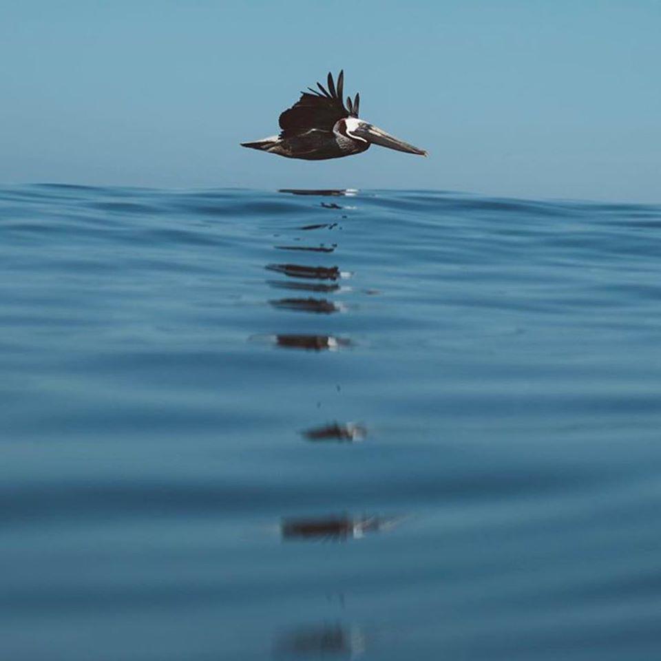 North County Surf Academy Photo