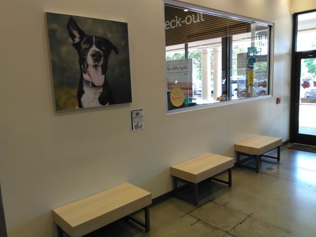 Images Vetco Total Care Animal Hospital