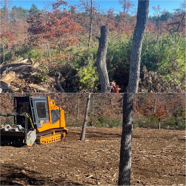 Images Durham Forestry Mulching Land Clearing and Stump Grinding