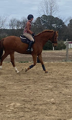 Images Star Ridge Stables