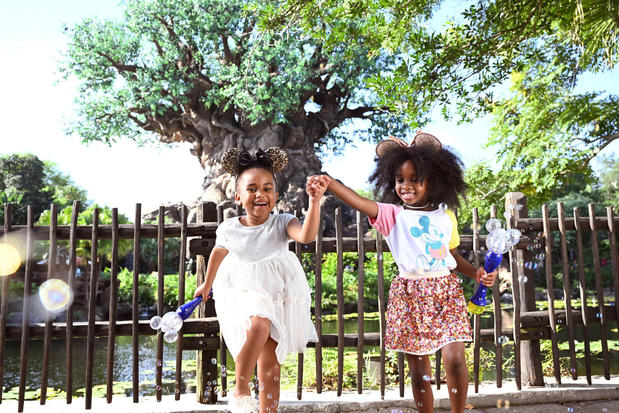 Images Holiday Inn Resort Orlando Lake Buena Vista by IHG