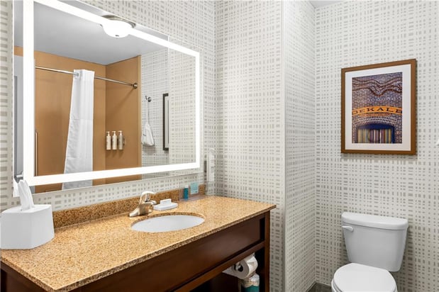 Images Hampton Inn - DeKalb (Near the University)