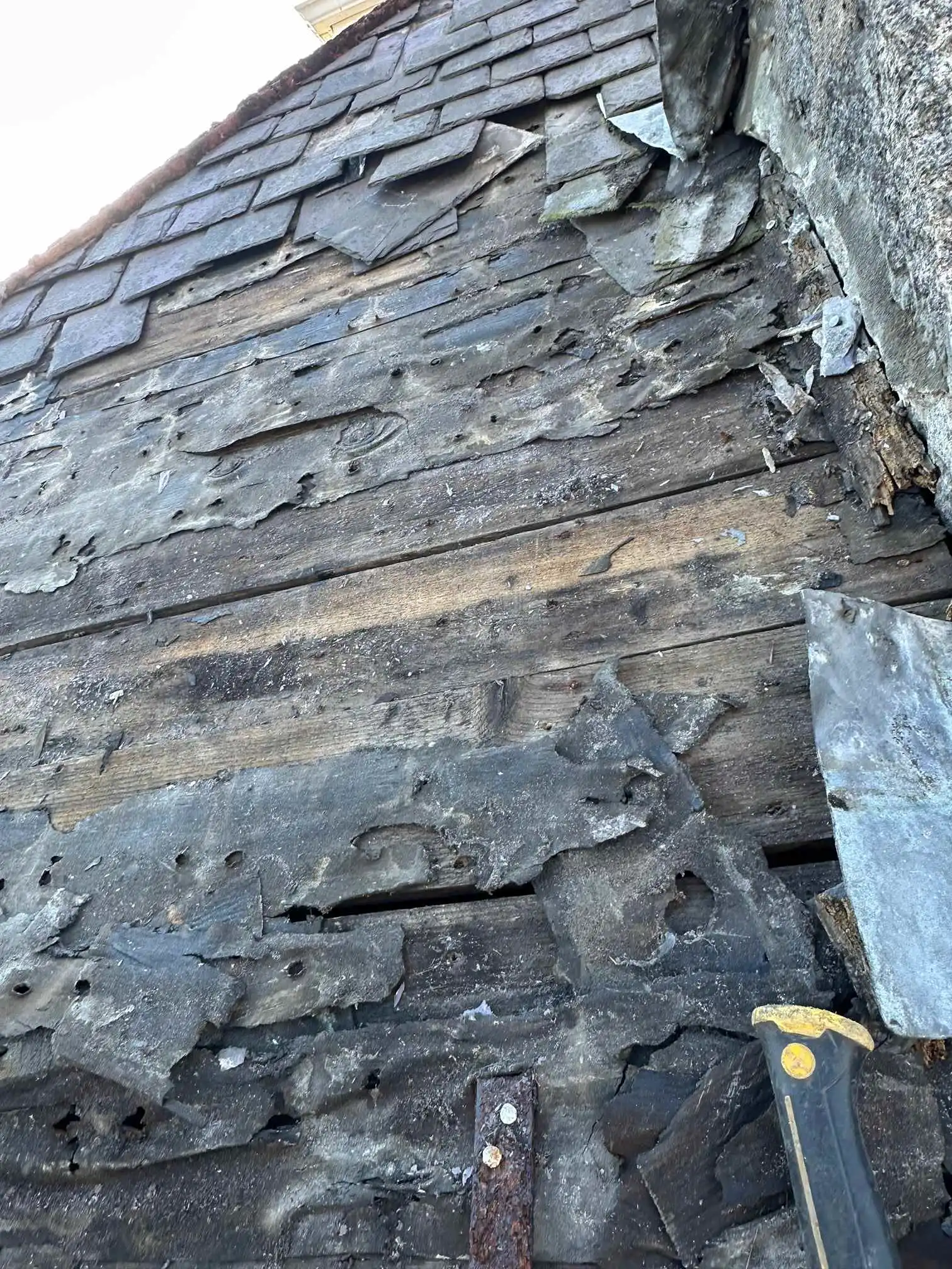 Images DB Roofing and Maintenance