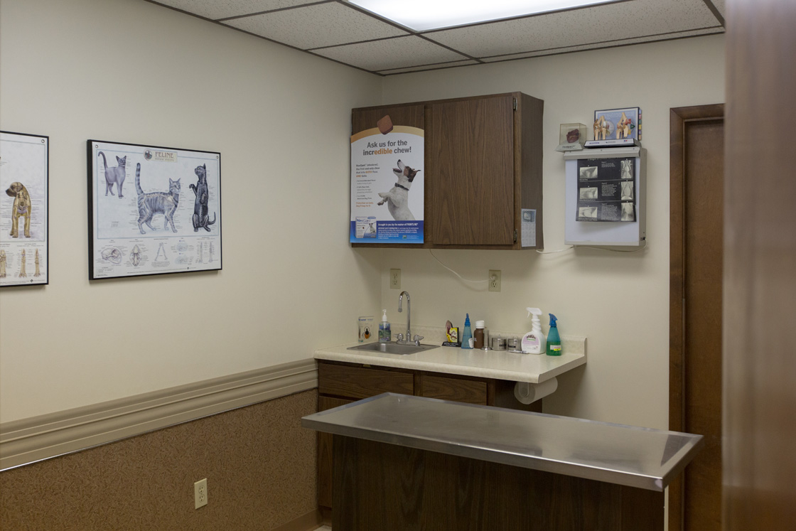 This is an exam room where your pet will be examined by one of our caring veterinarians. White Oak Veterinary Clinic White Oak (412)678-4042