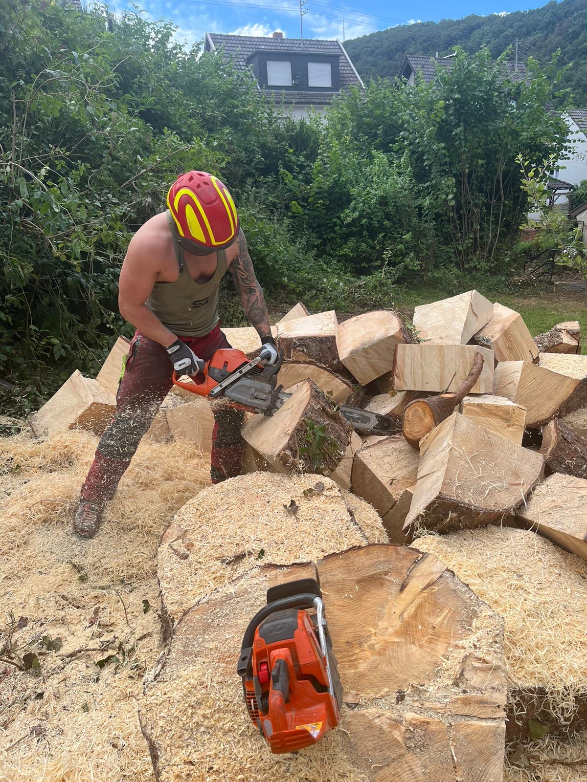 Baum- & Gartenpflege Loose in Melsbach