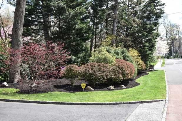 Images Randy's Pro Landscaping & Tree Service