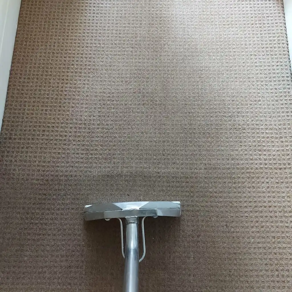 Images Titanium Cleaning