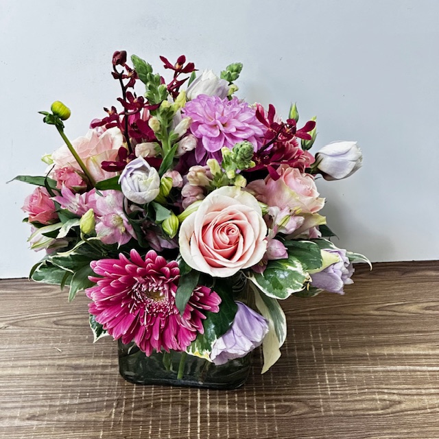 Images Jane's Roses & Flowers