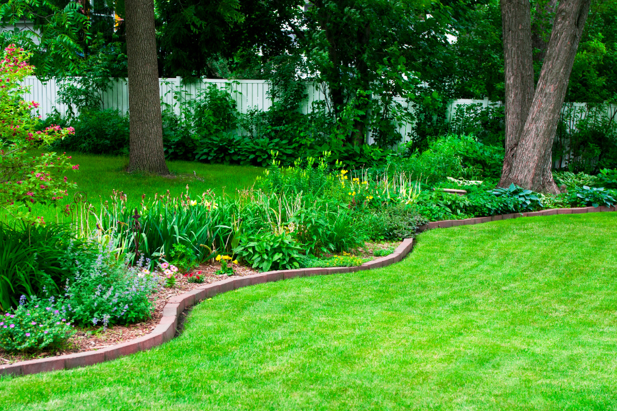 Image 3 | Lawn & Leaf Solutions