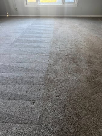 Images Plymouth Carpet Services