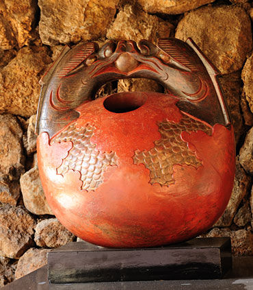 Kohala spa coupons