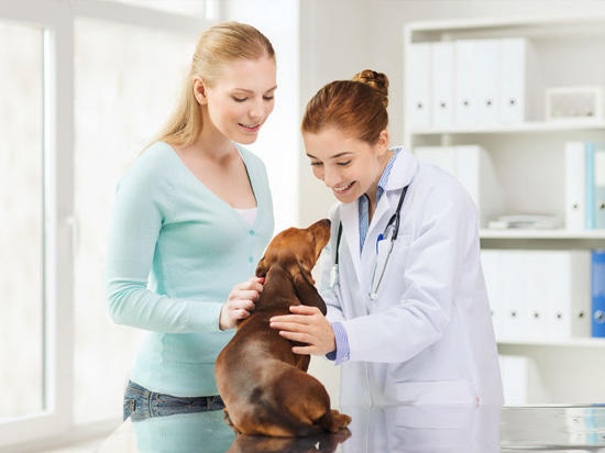 Images Clinica Veterinaria Associata dei Dottori Pieragostini & Petroni