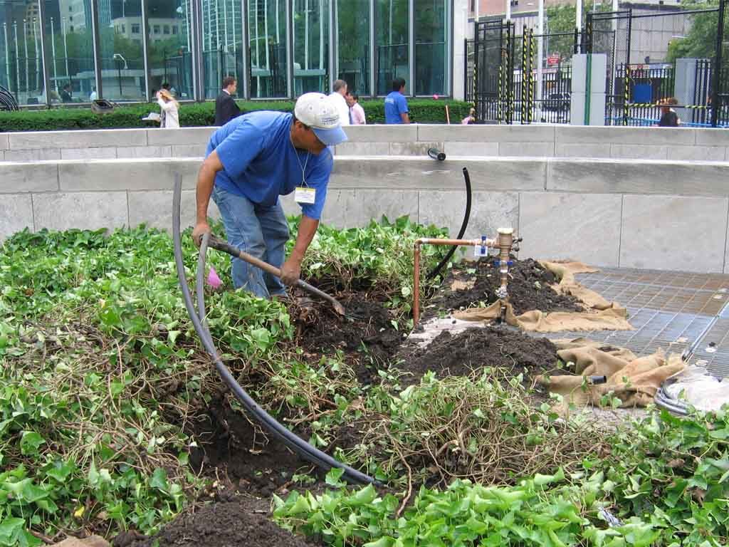 An irrigation technician working in a landscaped garden bed, installing or repairing commercial sprinkler lines.