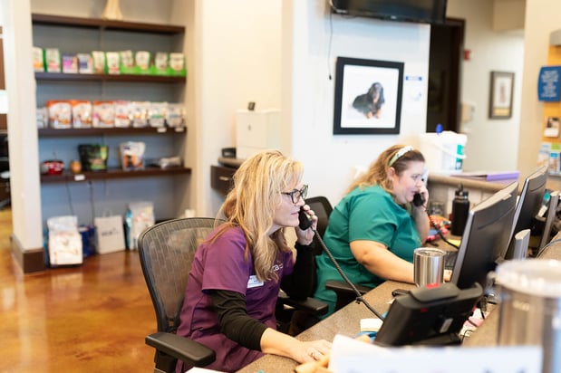 Images VCA Angel Animal Hospital