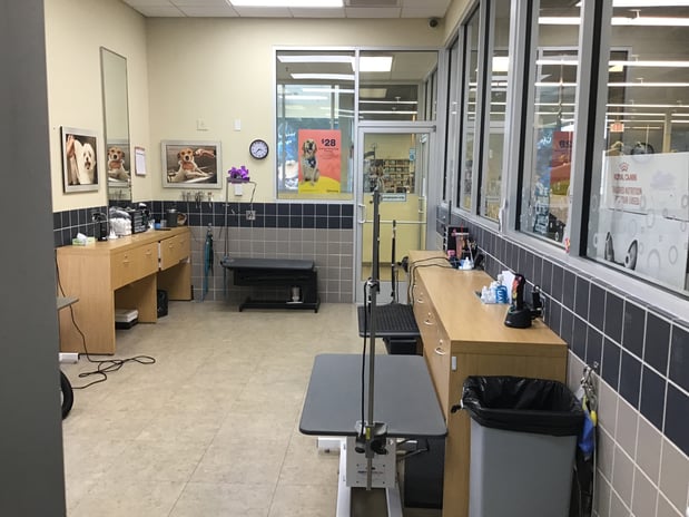 Images Petco Grooming