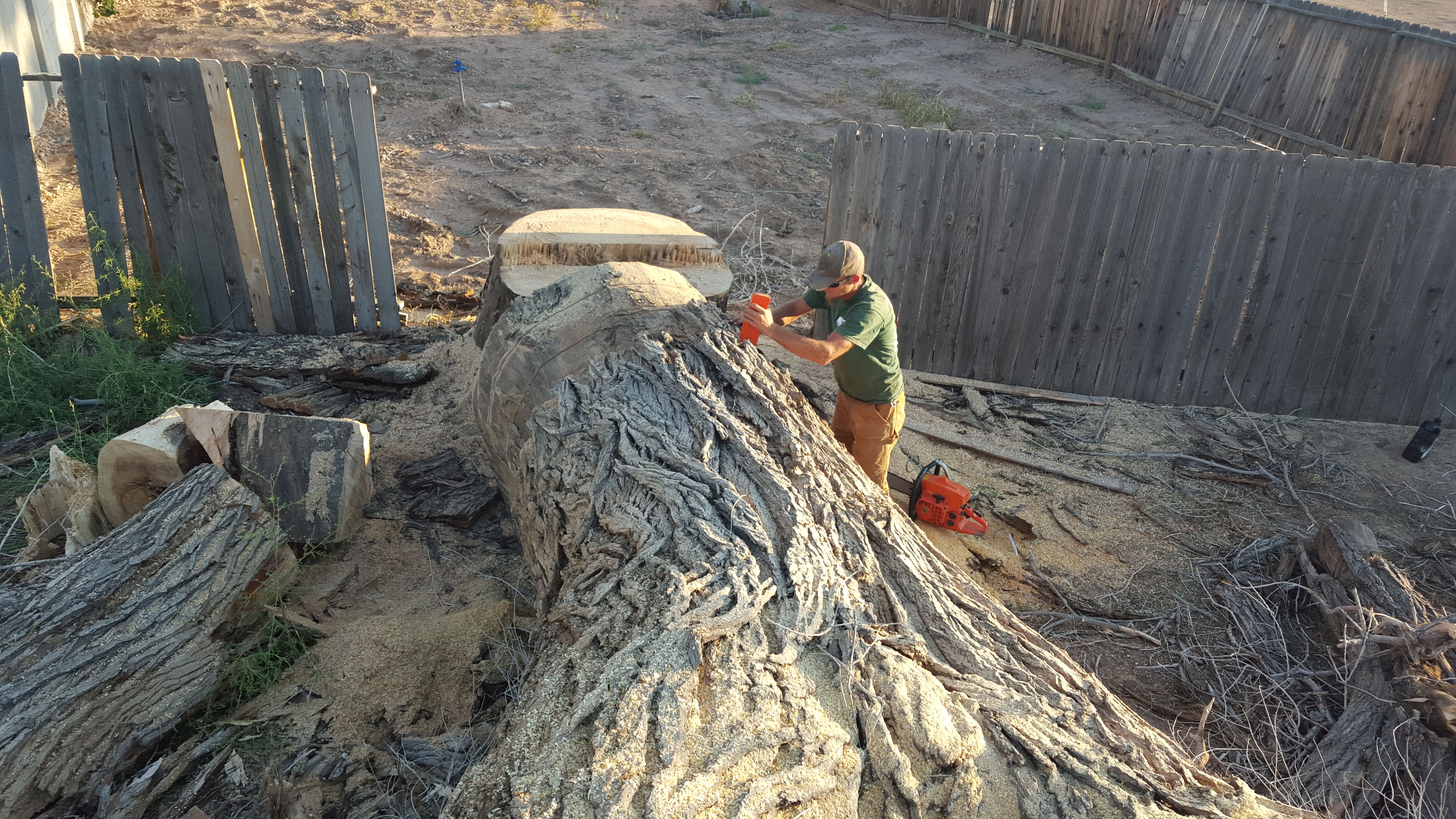 Big Timber Tree Climbers