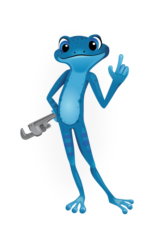 bluefrog Plumbing and Drain of Brandon Image