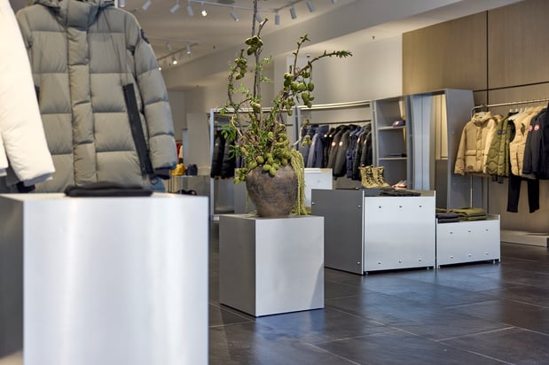 Images Canada Goose Woodbury