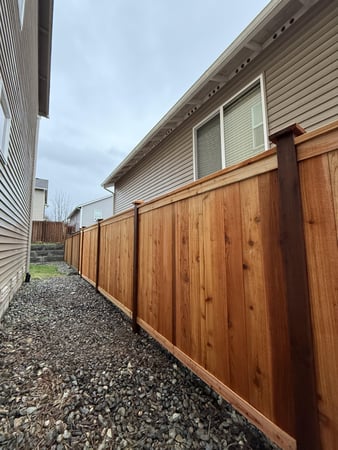 Images Tidy Beaver Fencing - Fence and Gate Contractor