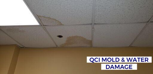QCI Mold and Water Damage Photo