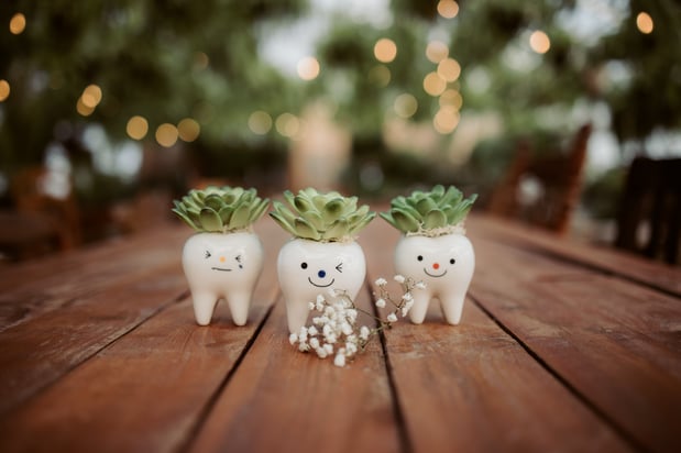 Images Evergrow Dental