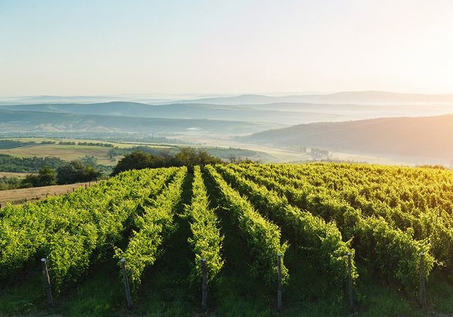 Images F.A. Service demolizioni edili, giardinaggio, lavori stradali e agricoli