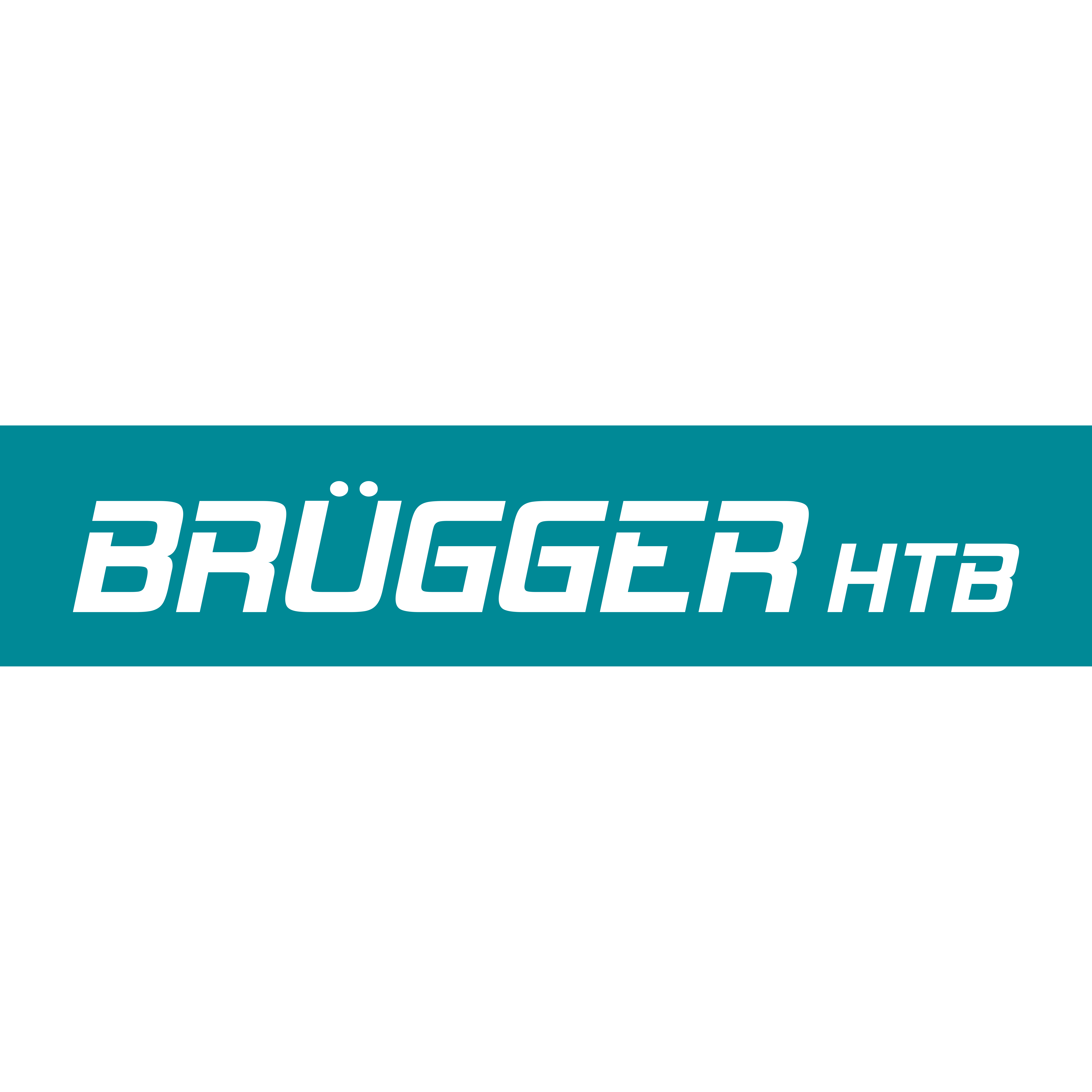 Brügger HTB GmbH Logo