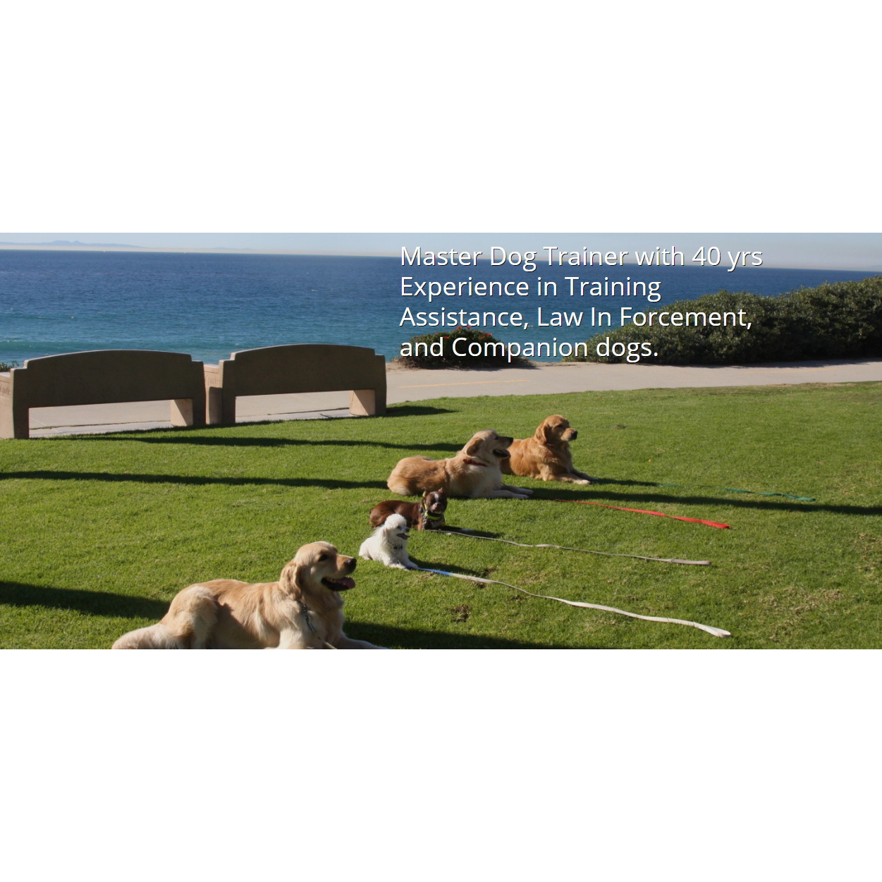 SW Canine Rehabilitation, Inc.