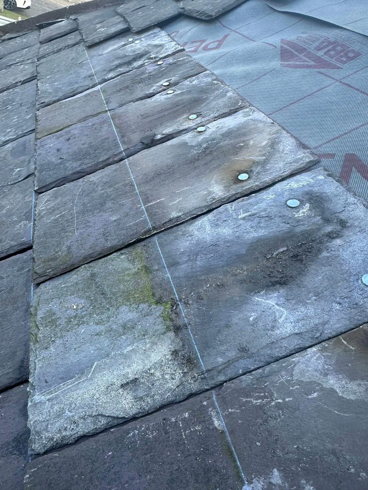 Images DB Roofing and Maintenance