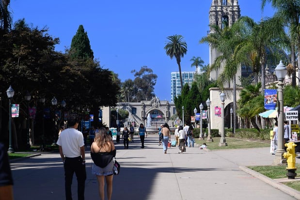 Images My Canvas Portraits