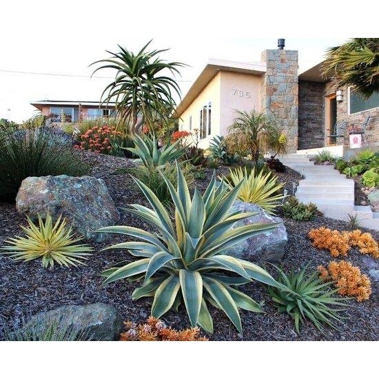 Best Home Advisor Remodeling, Inc. Logo