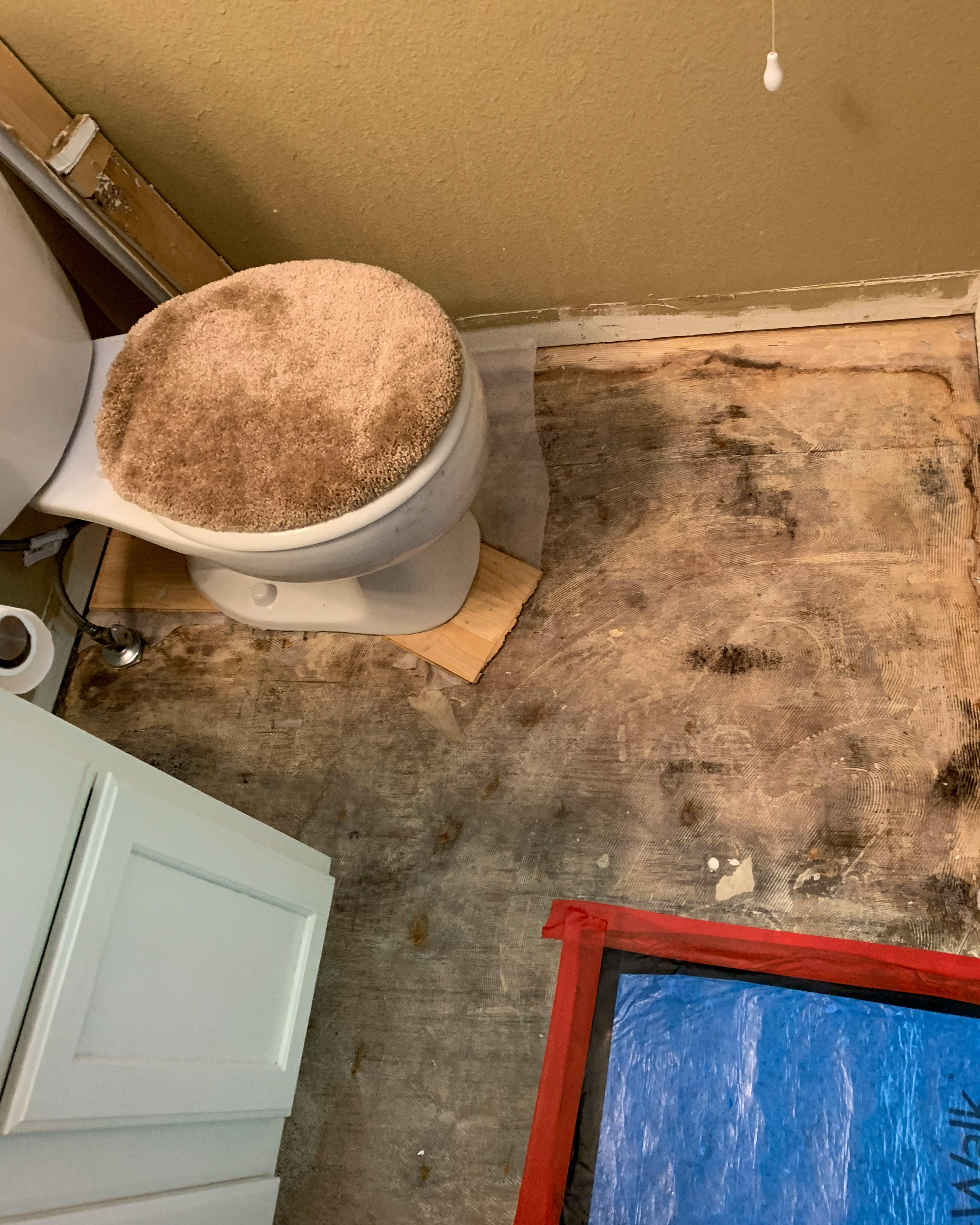 Just a small water leak, or even excess humidity, and mold can form in your Denver home or business.