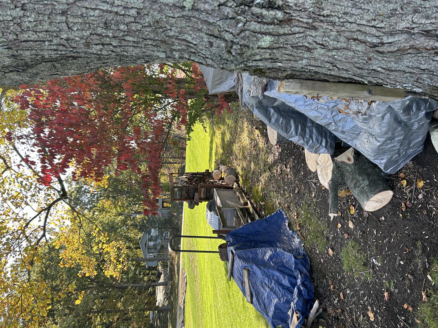 Crewslocalservice provides high-quality and affordable tree services tailored to meet the needs of homeowners and businesses. Our cost-effective solutions ensure that tree care remains accessible without compromising on reliability or professionalism. We are committed to delivering excellent service while helping customers maintain safe and beautiful outdoor spaces.