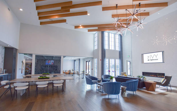 Images The Ivy at Ariston