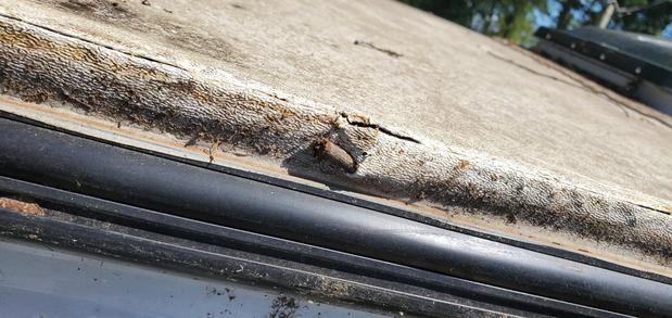 Images D-RV Mobile Repair