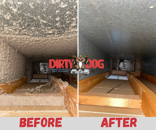 Dirty Dog Carpet, Surface and Duct Cleaning Harrisonburg (540)208-2628