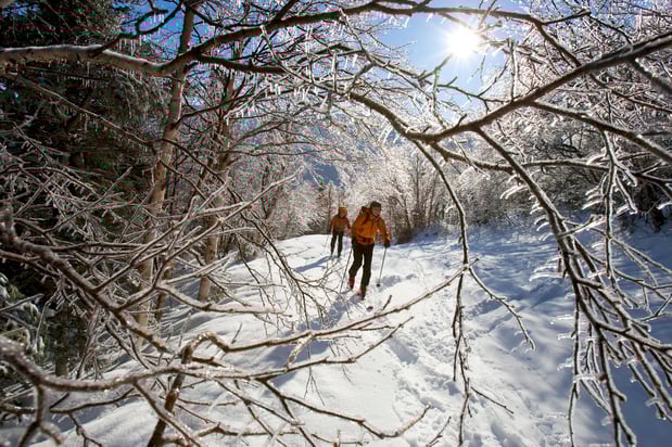 Images Hotel Indigo North Conway by IHG