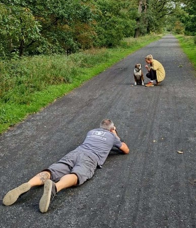 Fotogebell Hundefotografie - Carsten Pöhler Outdoor Hundefotografie Münster, Fotograf erstellt natürliche Hundeportraits auf Waldweg mit Halterin, authentische Perspektive aus Bodennähe.