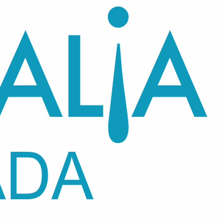 Images Opticalia Almada