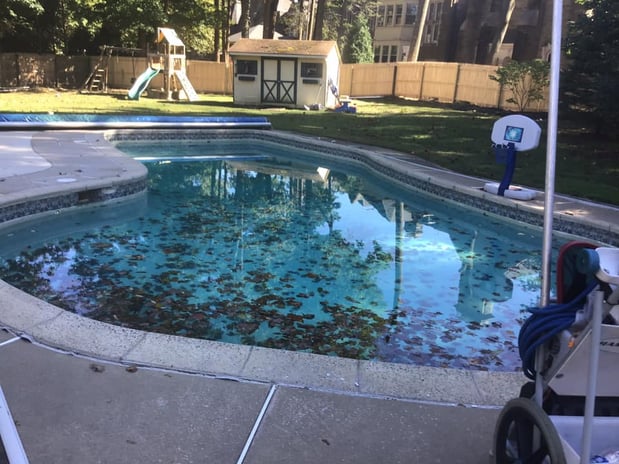 Images Big Splash Pool Service