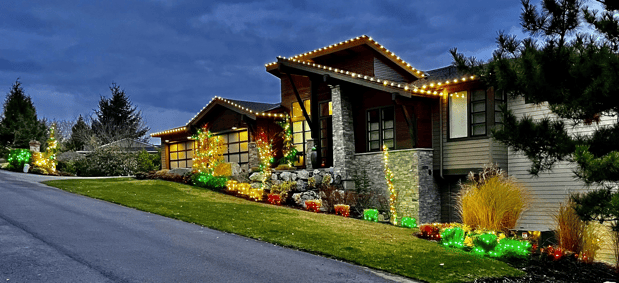 Images Bellevue Holiday Lighting