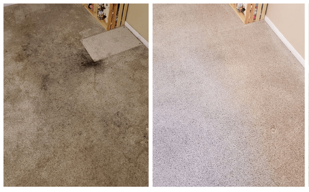 Images Immaculate Home Chem-Dry
